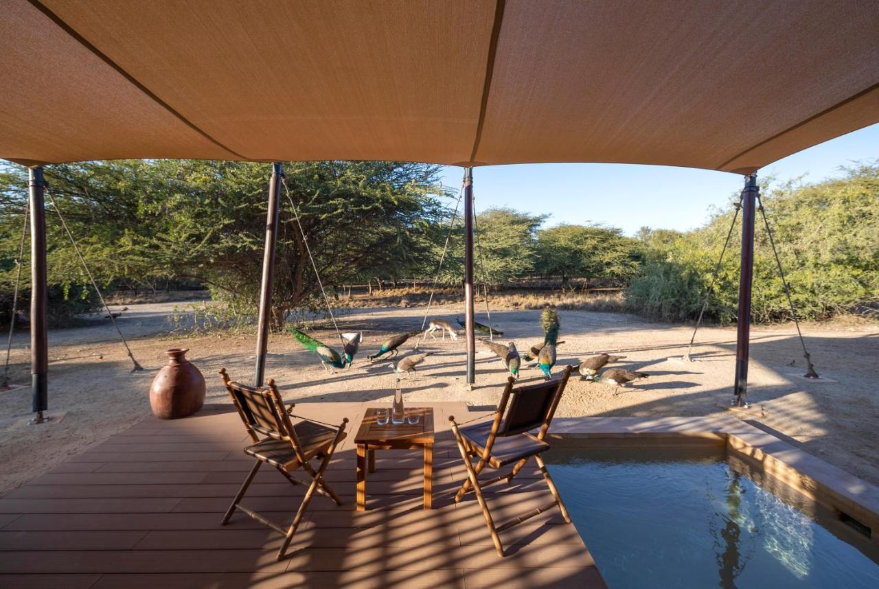 Anantara Sir Bani Yas Island Al Sahel Villas Zahr Luaran gambar