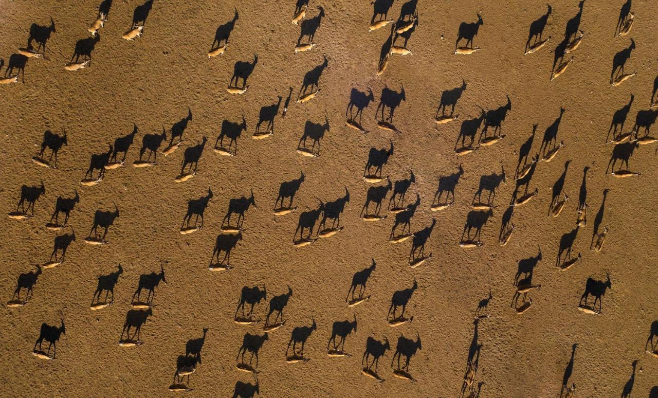 Anantara Sir Bani Yas Island Al Sahel Villas Zahr Luaran gambar